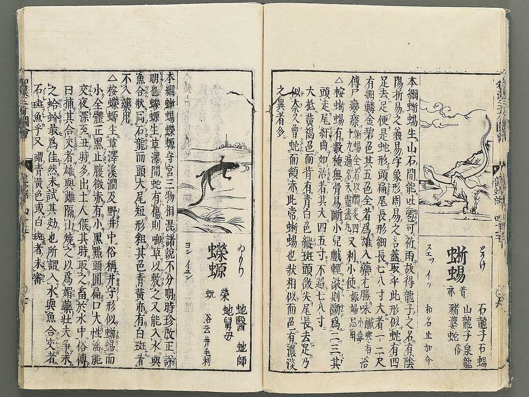 Wakan sansai zue Part 45, Book 46 / BJ349-230