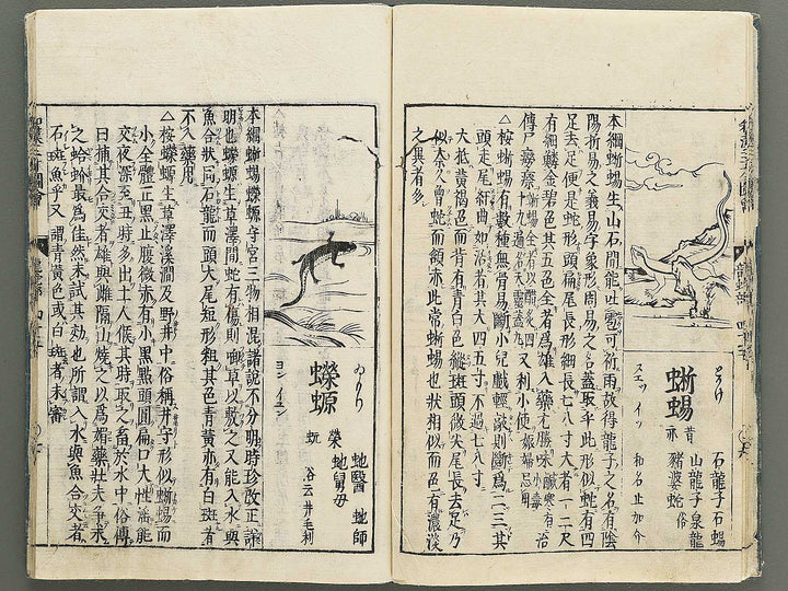 Wakan sansai zue Part 45, Book 46 / BJ349-230