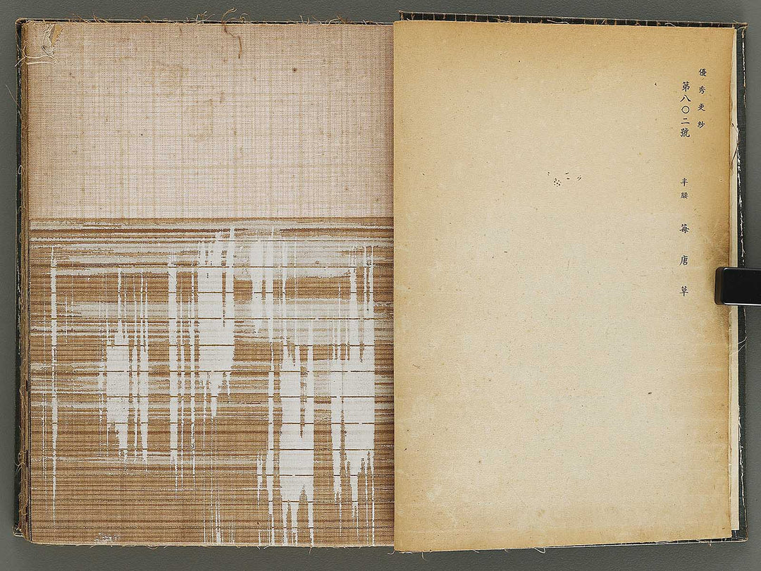 Yushu sarasa / BJ328-510