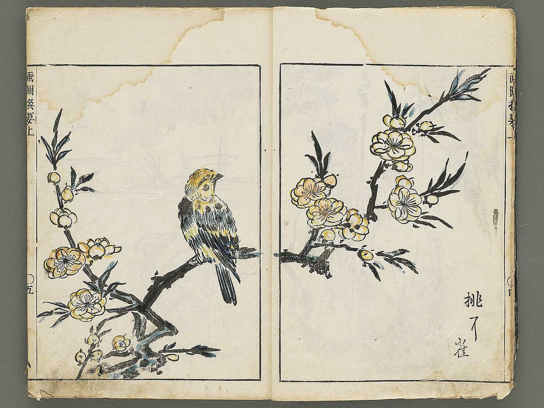 Gazu senyo (Jo) by Gyokusuisai Yoshikane / BJ354-249