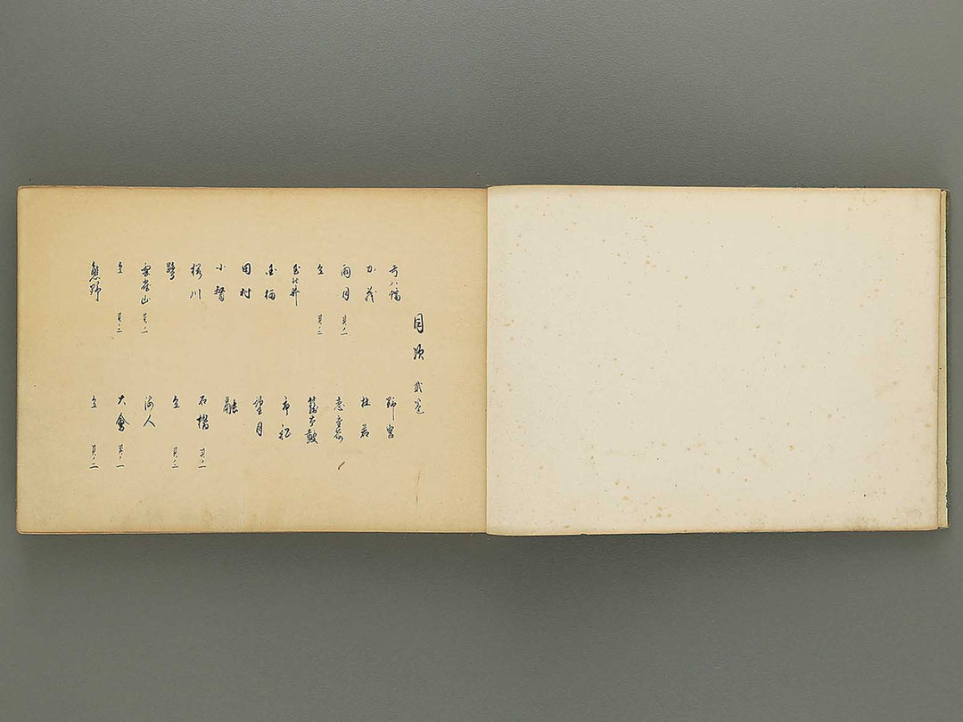 Nogu taikan Volume 2 by Yamaguchi Ryoshu / BJ348-376