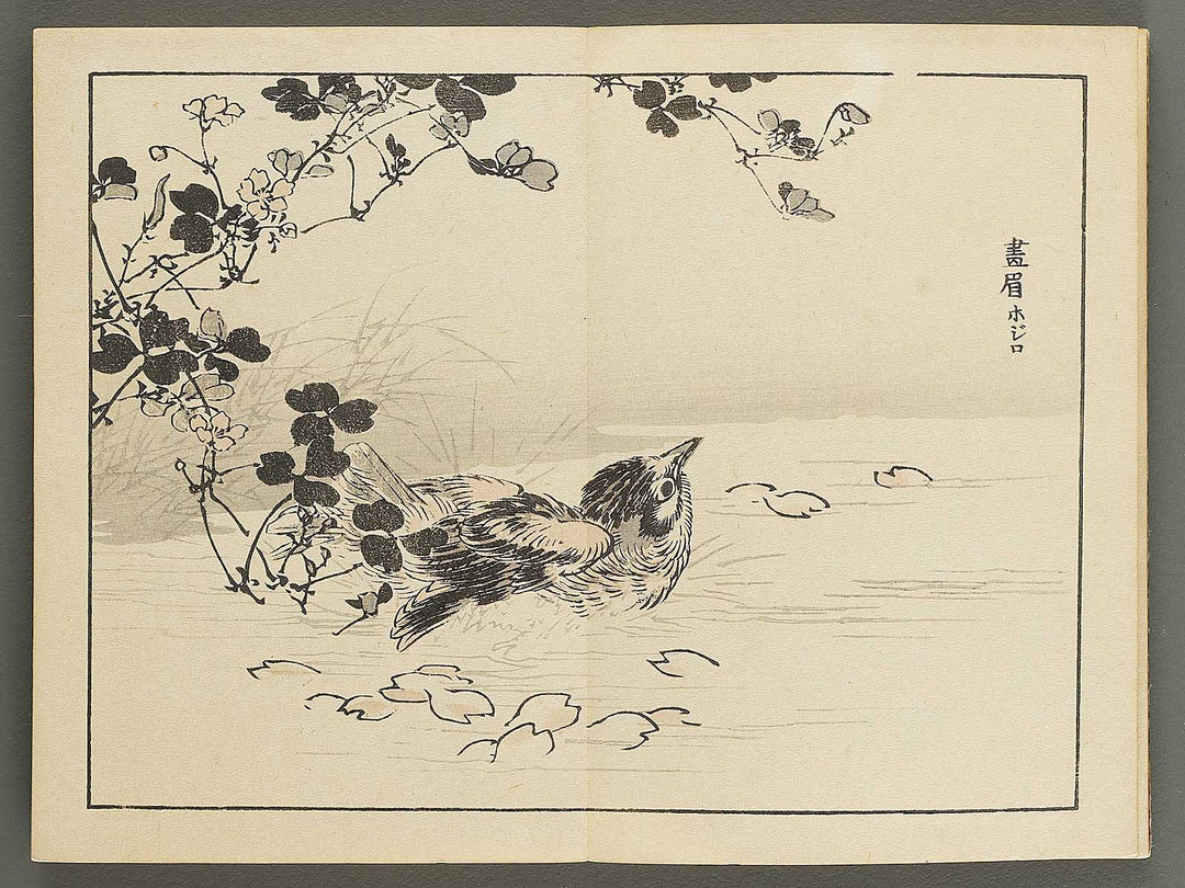 Bairei gafu (Kacho no bu) by Kono Bairei / BJ351-106