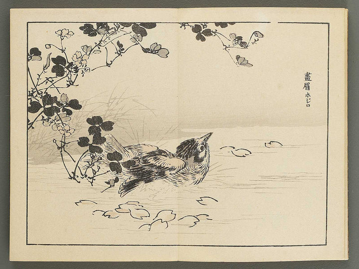 Bairei gafu (Kacho no bu) by Kono Bairei / BJ351-106