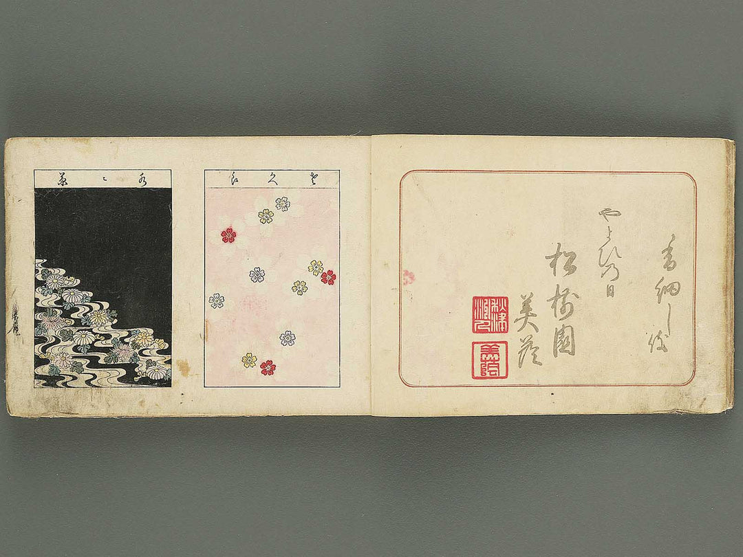 Biko zukan by Hasegawa Keika / BJ345-849