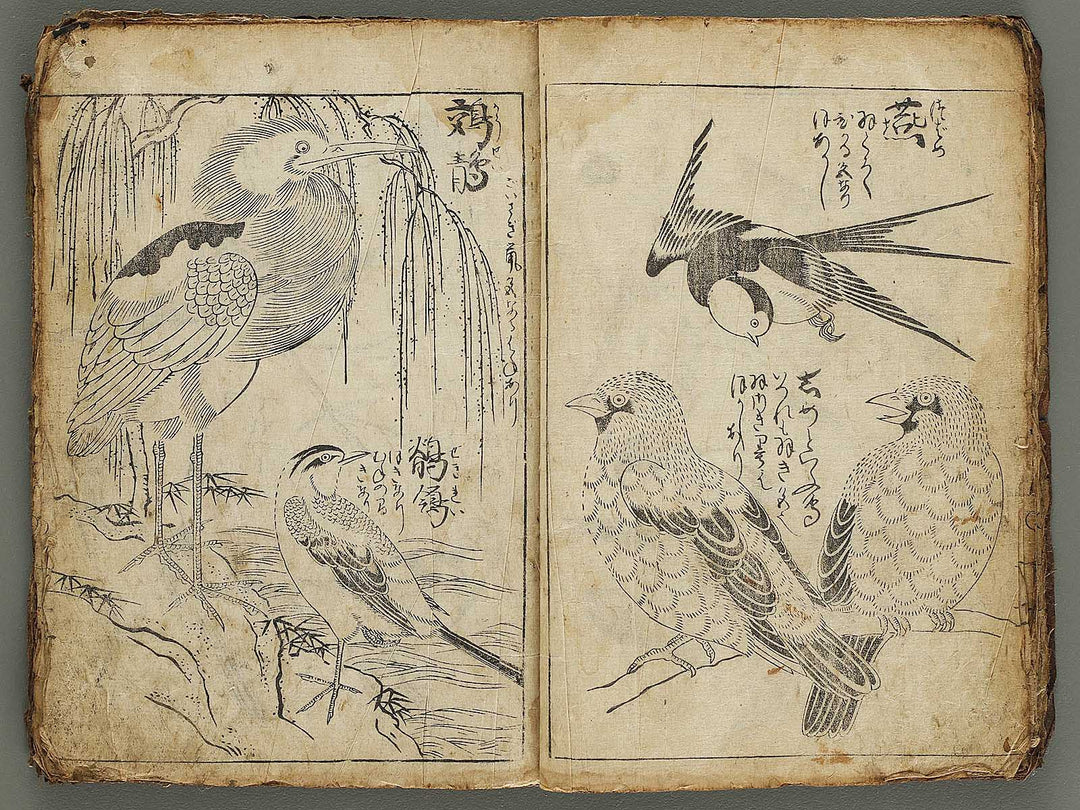 Etehon (Title Unknown)  / BJ337-561