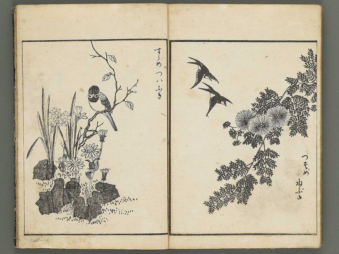 Kacho gafu by Asai Osui / BJ345-842