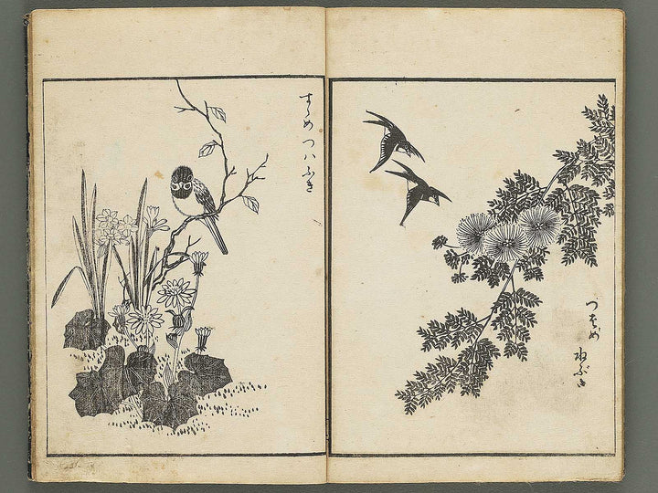 Kacho gafu by Asai Osui / BJ345-842