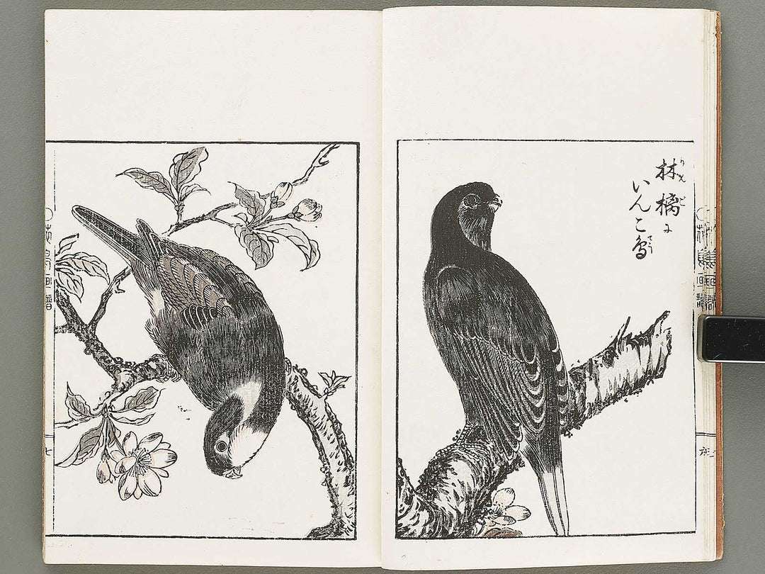 Kacho gafu / BJ331-821