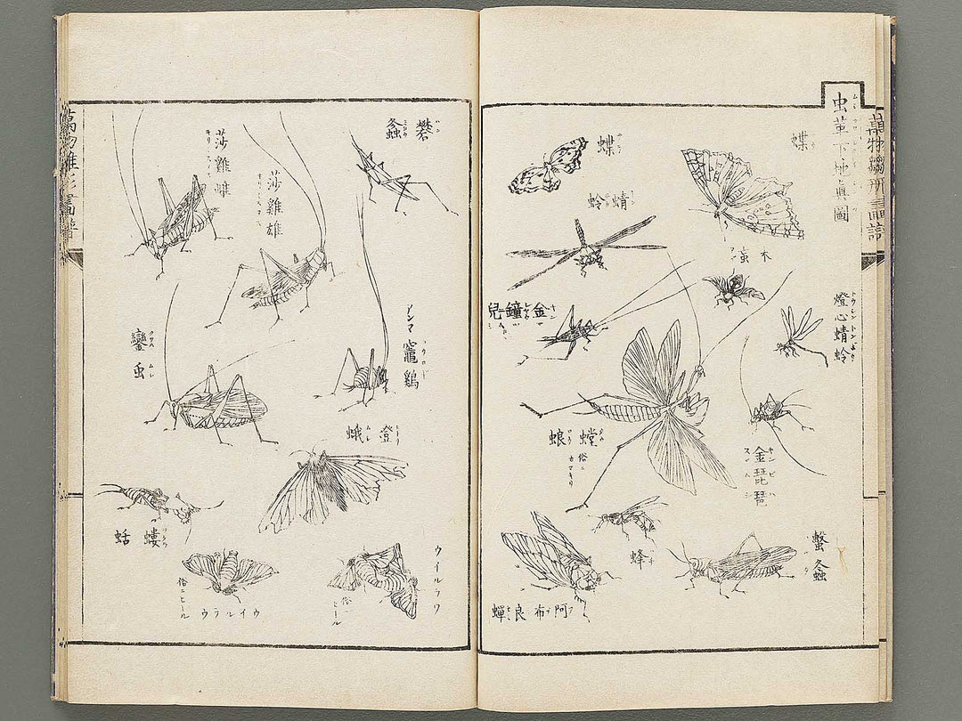 Banbutsu hinagata gafu Volume 2 by Sensai Eisaku / BJ305-956