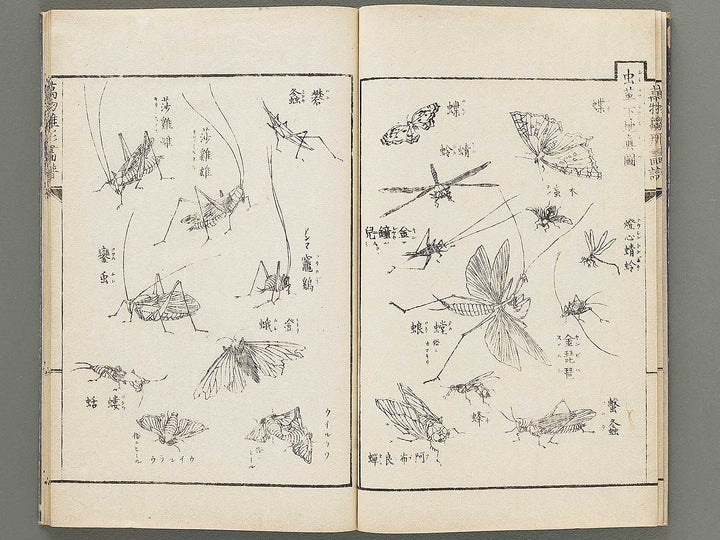 Banbutsu hinagata gafu Volume 2 by Sensai Eisaku / BJ305-956