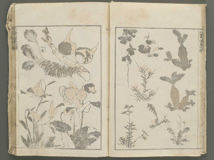 Hokusai manga Volume 4 by Katsushika Hokusai / BJ348-474