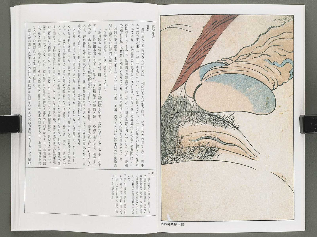 Ezoshi Hanagoyomi Volume 7 by Utagawa Kuniyoshi / BJ346-458