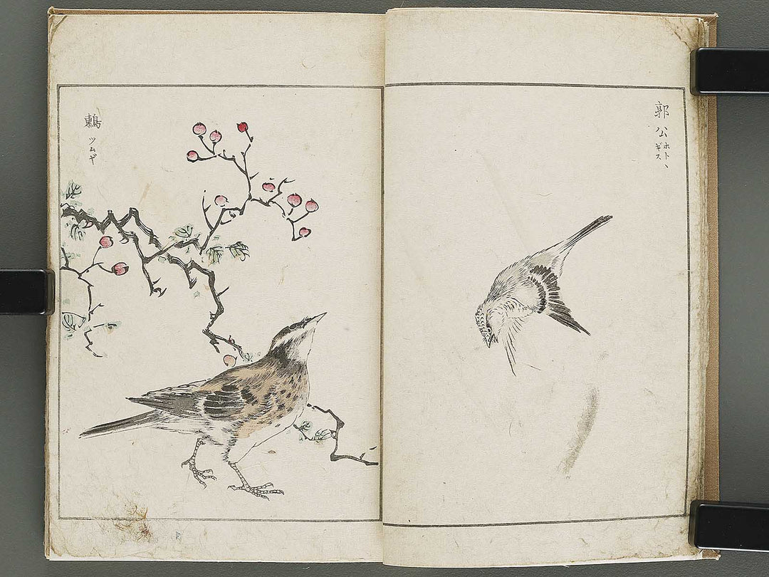 Shucho gafu (Jin) (Part 3 of 3) by Numata Kashu / BJ339-752