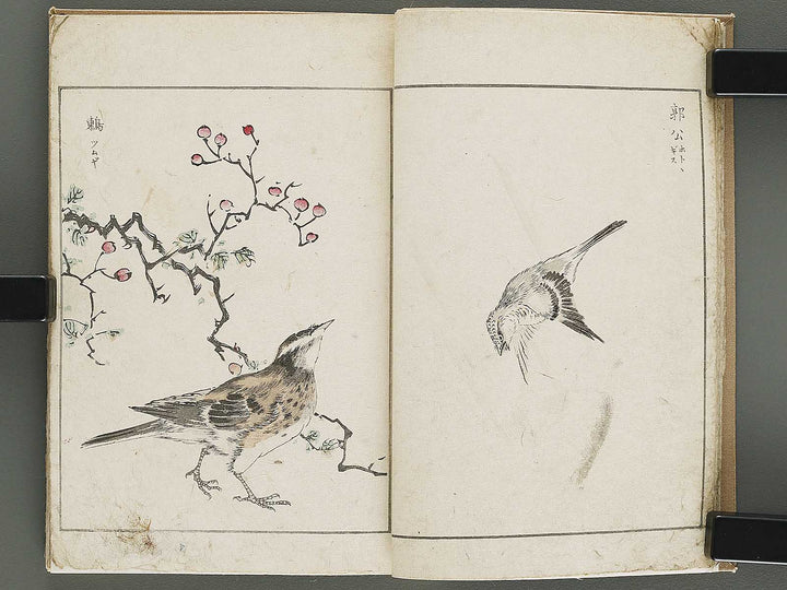 Shucho gafu (Jin) (Part 3 of 3) by Numata Kashu / BJ339-752