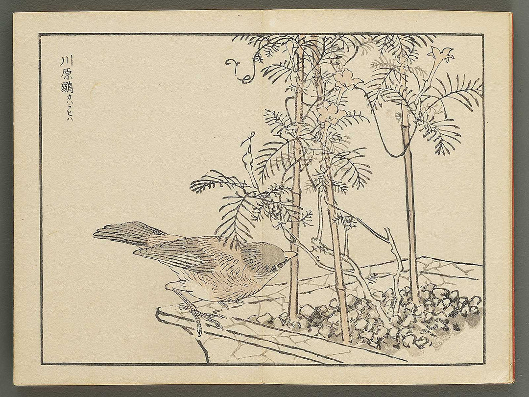 Bairei gafu (Kacho no bu) by Kono Bairei / BJ351-113