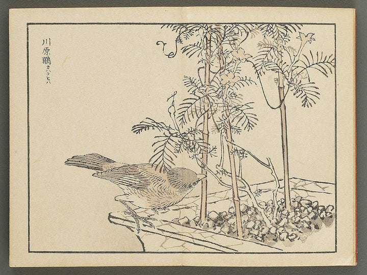Bairei gafu (Kacho no bu) by Kono Bairei / BJ351-113