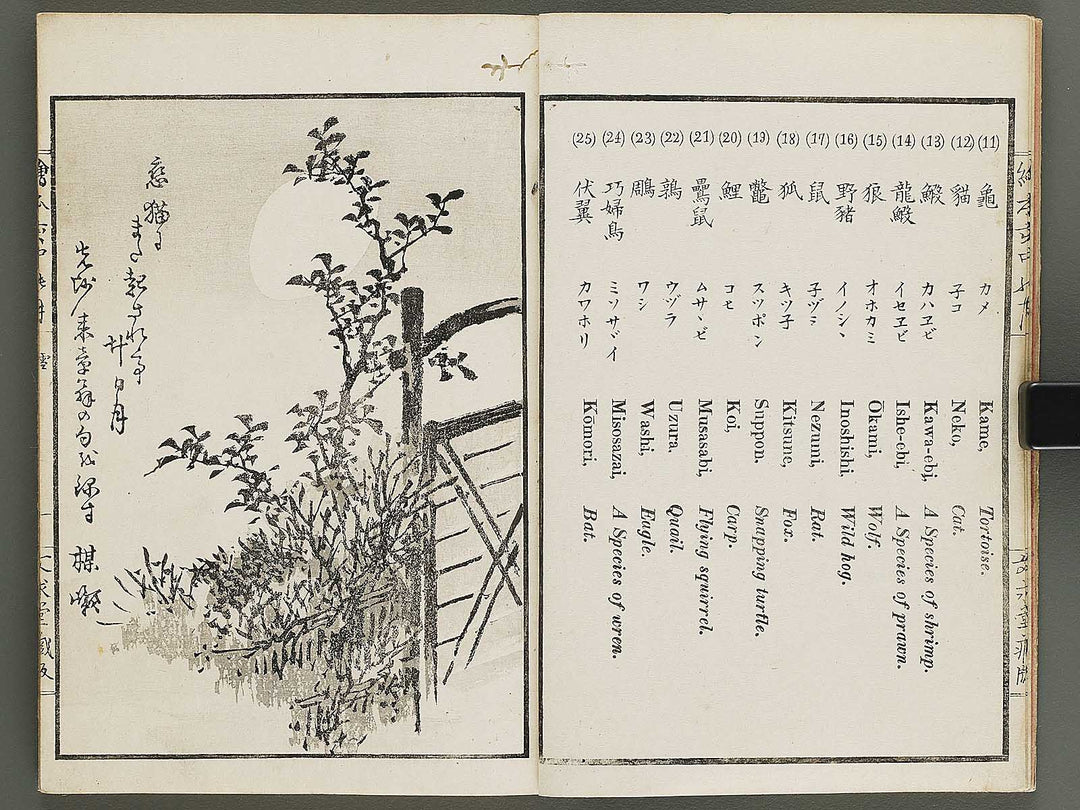 Ehon inaka no tsuki Setsu by Kono Bairei / BJ341-222