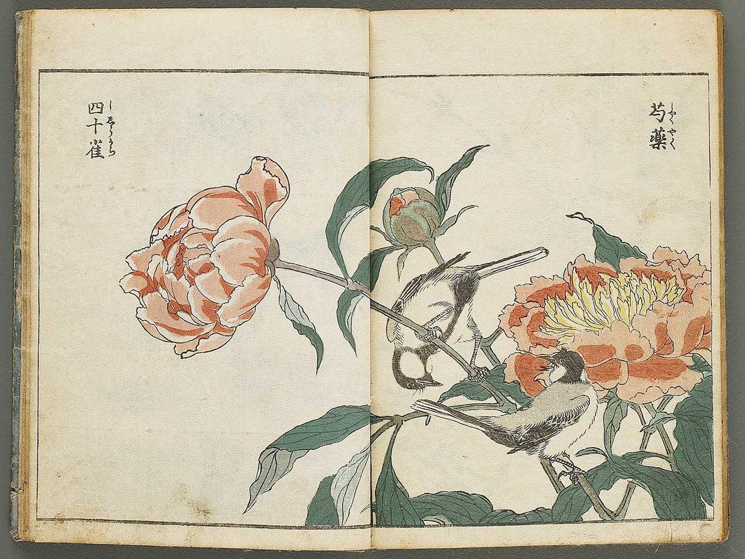 Kacho shashin zui by Kitao Shigemasa / BJ339-115