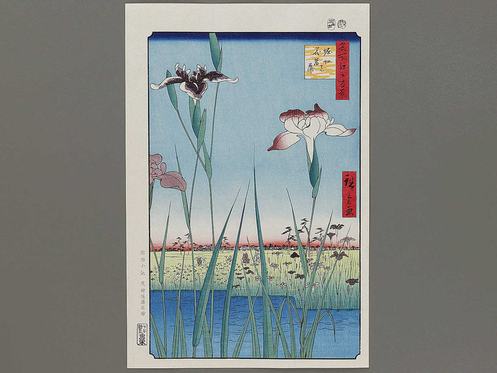 Horikiri Iris Garden from the series One Hundred Famous Views of Edo by Utagawa Hiroshige, (Large print size) / BJ331-541