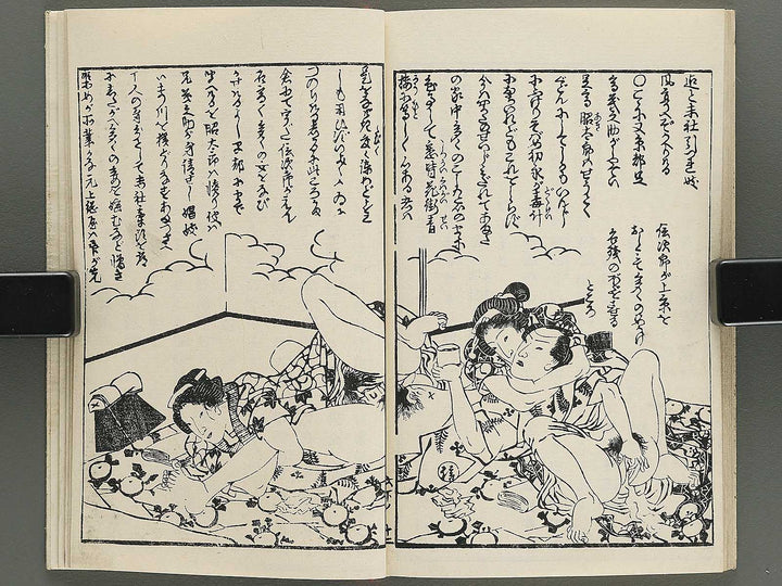 Insho kaiko ki Volume 6, (Ge) by Utagawa Yoshikazu / BJ345-737