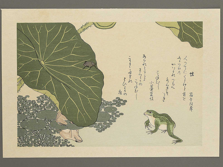 Frog and Gold Beetle from the series Gahon mushierami by Kitagawa Utamaro, (Large print size) / BJ355-292