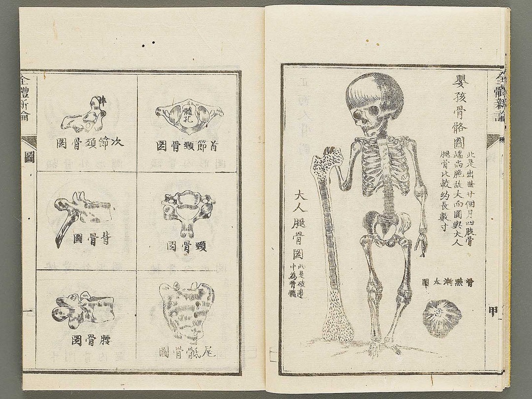 Zentai shinron Ken (Part 1 of 2) / BJ325-346