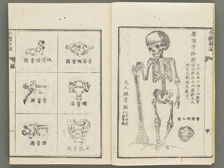 Zentai shinron Ken (Part 1 of 2) / BJ325-346