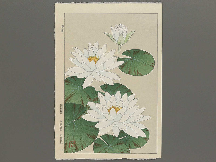 Suiren by Kawarazaki Shodo, (Large print size) / BJ346-283