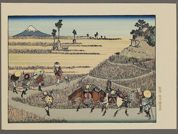 Hosaku no fuji from the series One Hundred Views of Mount Fuji by Katsushika Hokusai, (Medium print size) / BJ319-459