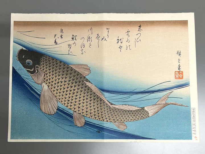 Japanese Carp from the series the series fish by Utagawa Hiroshige, (Large print size) / BJ325-619