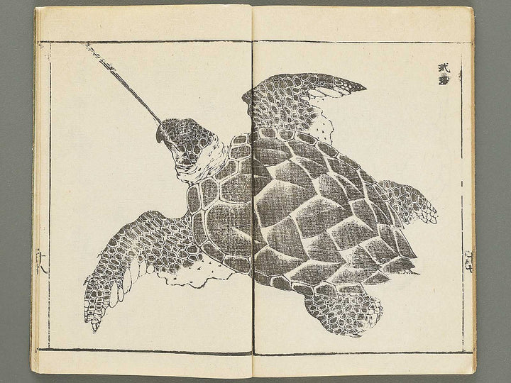 Choko hinagata by Futatsuyanagi Mabuchi / BJ353-416