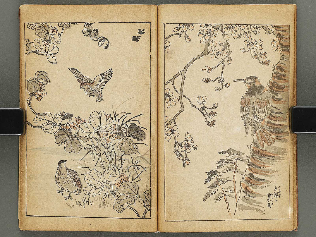 Kacho gafu by Adachi Ginko / BJ333-438