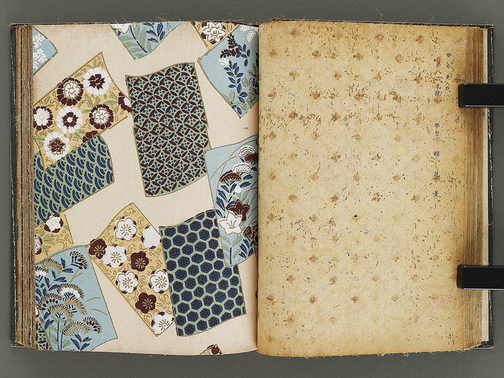 Yushu sarasa / BJ328-510