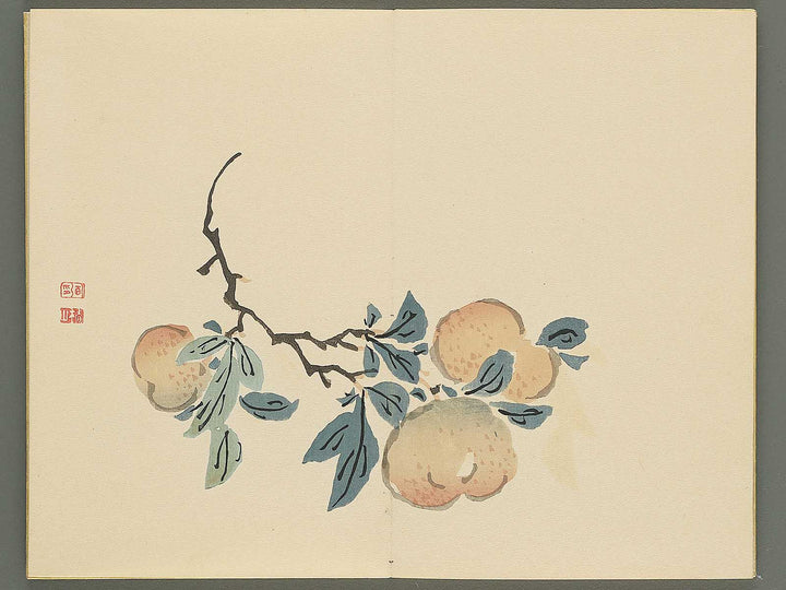 Chinzan gafu (Jo) by Tsubaki Chinzan / BJ345-170