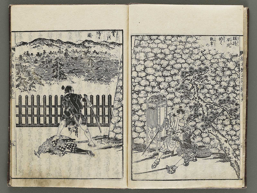 Ehon nankoki Part 3, Book 9 by Hayami Shungyosai / BJ336-749