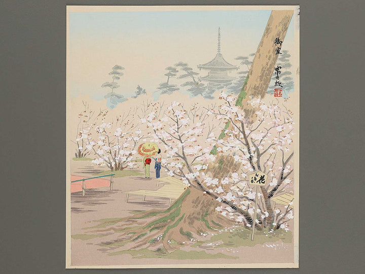 The Cherry Blossoms of Omuro at Kyoto in Spring by Tokuriki Tomikichiro, (Medium print size) / BJ303-065
