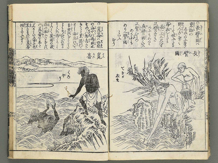 Kashiragaki zoho kinmo zui Volume 1 by Shimokobe Shusui / BJ350-917