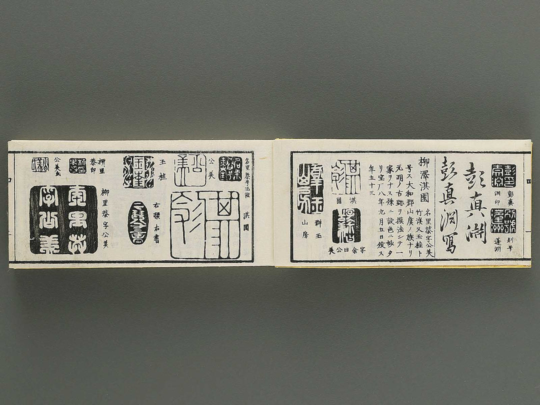 Shoga hikkei meika zensho Volume 4 / BJ348-621