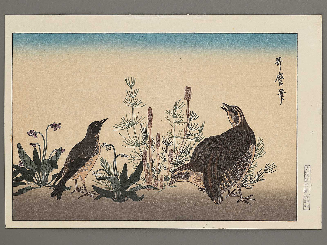 Quail and Skylark from the series Momotidori kyoka awase by Kitagawa Utamaro, (Large print size) / BJ306-887