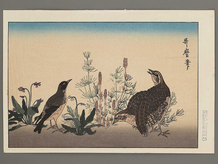 Quail and Skylark from the series Momotidori kyoka awase by Kitagawa Utamaro, (Large print size) / BJ306-887