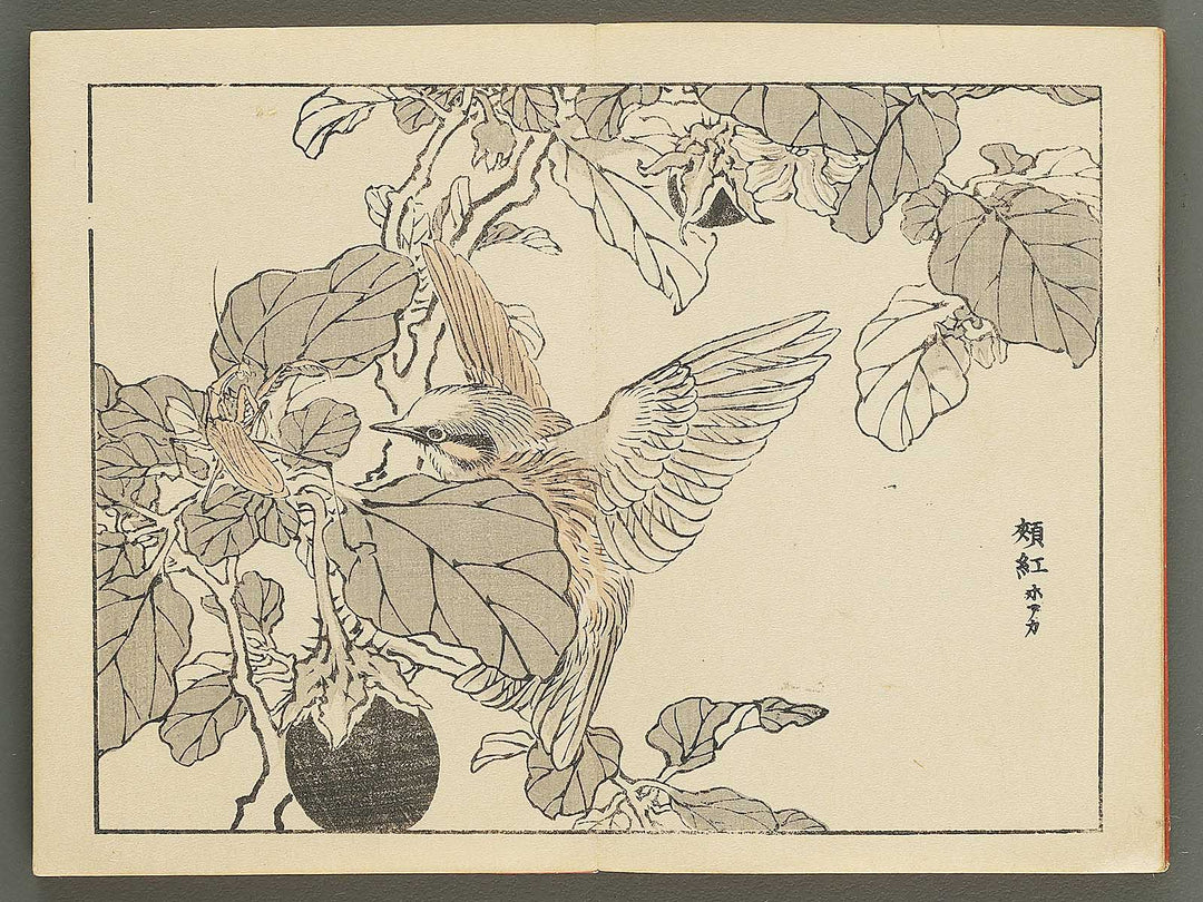 Bairei gafu (Kacho no bu) by Kono Bairei / BJ351-113