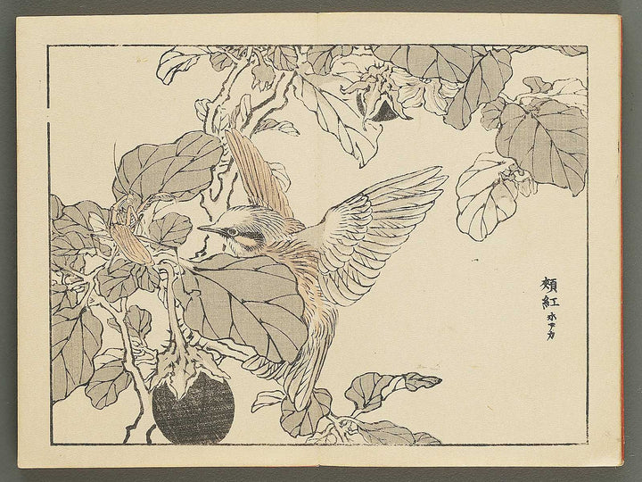 Bairei gafu (Kacho no bu) by Kono Bairei / BJ351-113