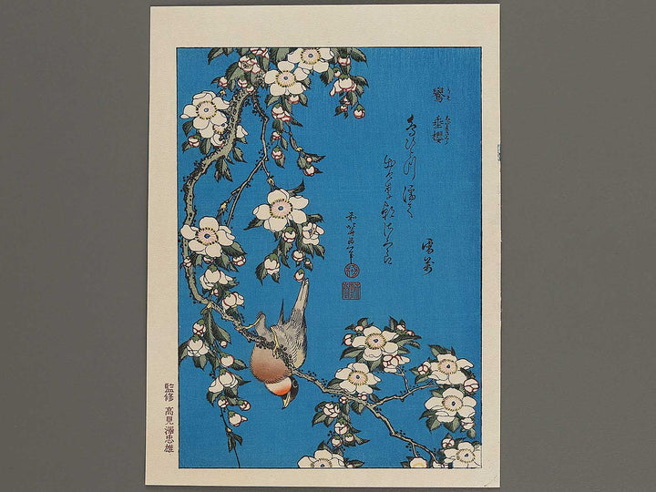 Weeping cherry blossoms against a dark indigo background, capturing the moment a Japanese bullfinch comes to peck at the blossoms. by Katsushika Hokusai, (Medium print size) / BJ321-643
