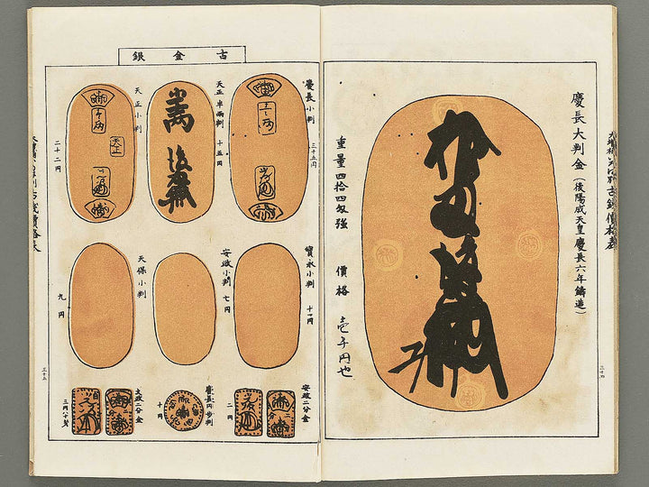 Dazoho irohabetsu kosen kakakuhyo / BJ350-203