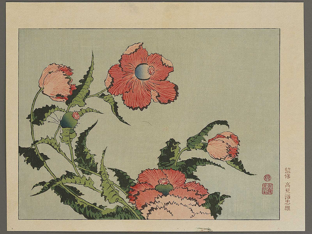 A poppy by Katsushika Hokusai, (Medium print size) / BJ321-734
