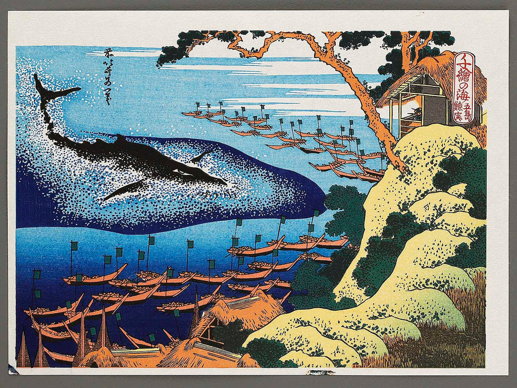 1_37e1d5a8-a5fc-4ab4-bf67-