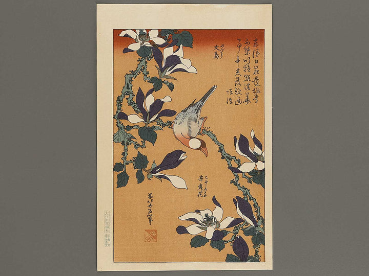 Buncho kobushi no hana by Katsushika Hokusai, (Large print size) / BJ336-119
