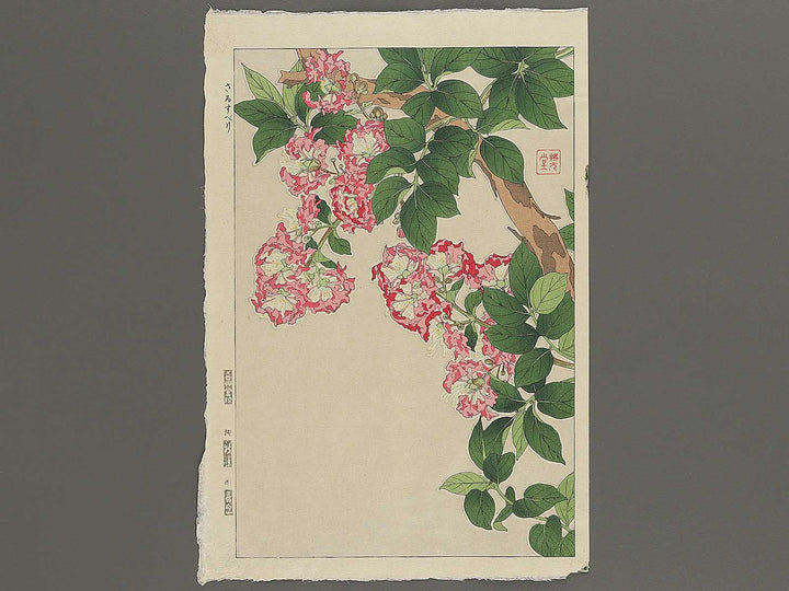Sarusuberi by Kawarazaki Shodo, (Large print size) / BJ348-005
