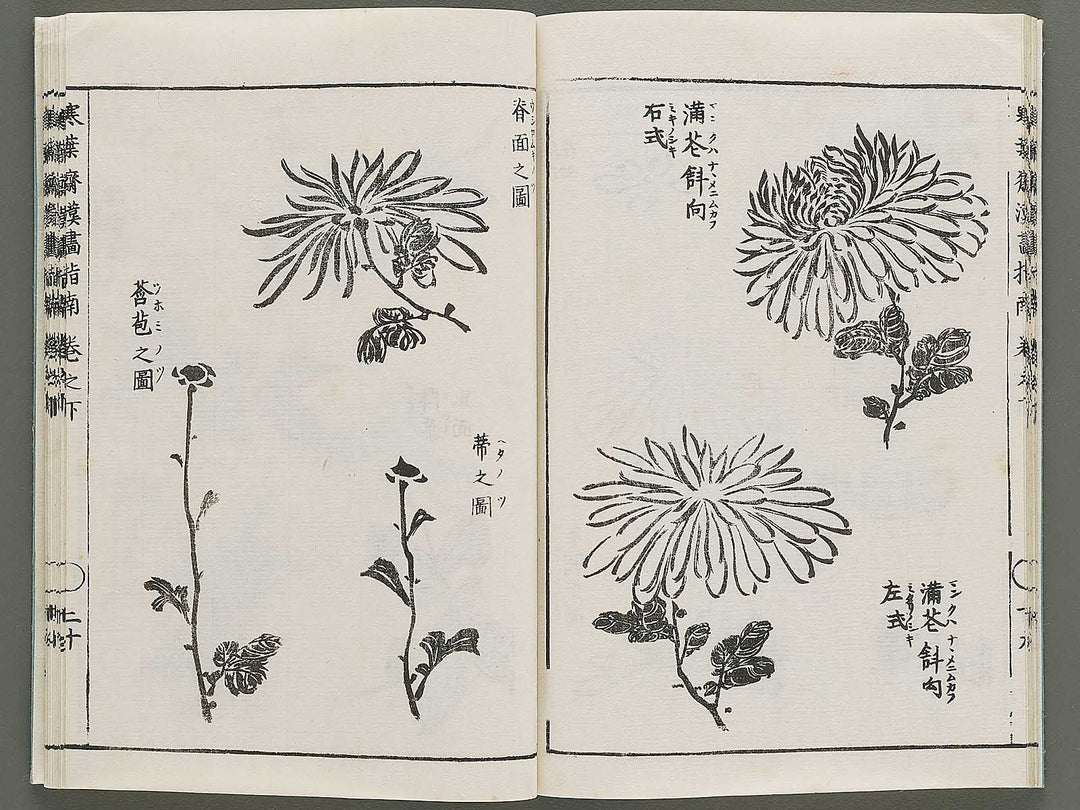 Kanga shinan Kon (Part 2 of 2) by Takebe Ayatari / BJ335-846