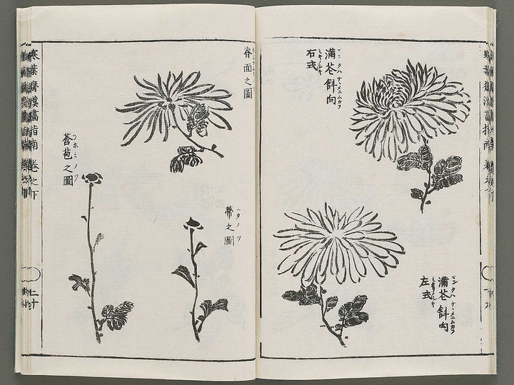 Kanga shinan Kon (Part 2 of 2) by Takebe Ayatari / BJ335-846